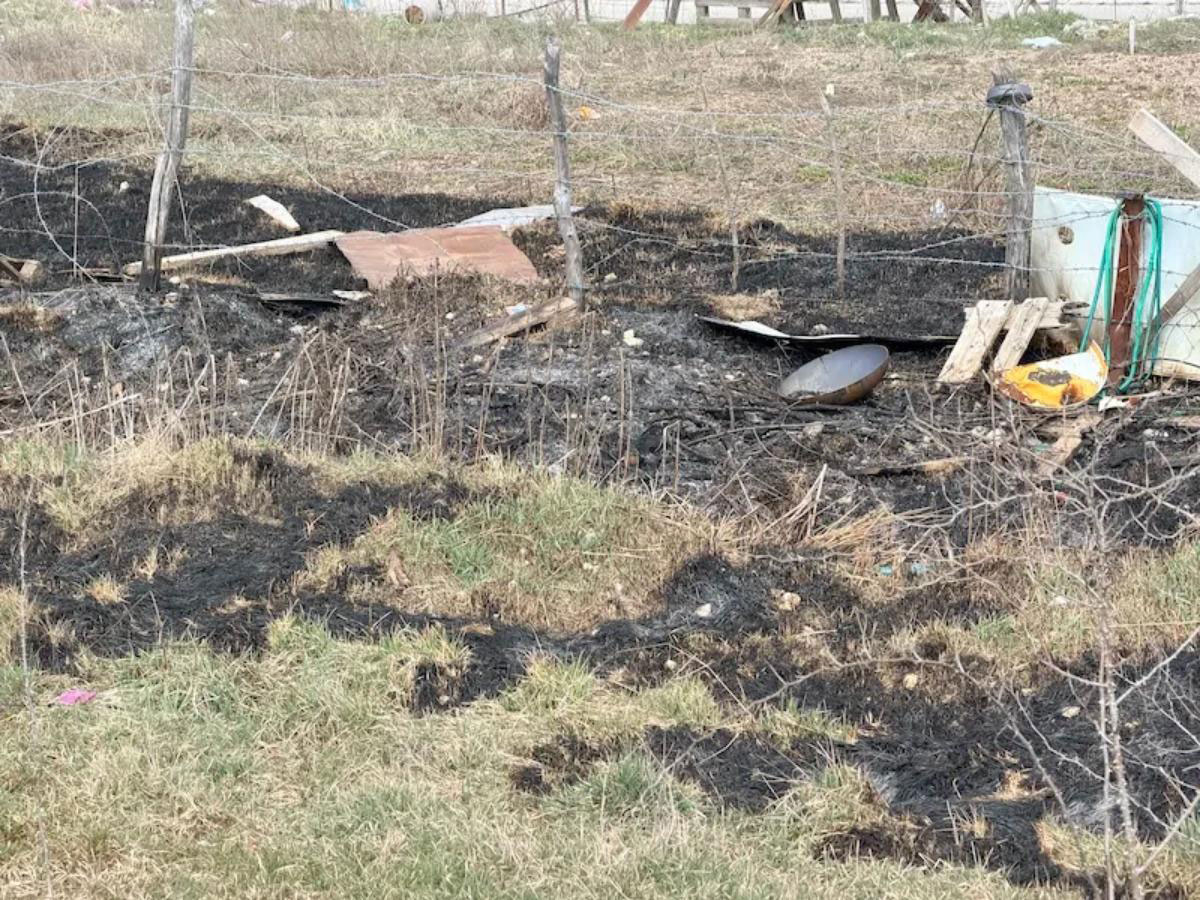 I BI NEDELJA: Hej, Perice, baš nemaš mer(ic)e