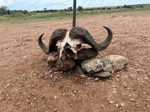 I BI NEDELJA: Moraš nešto, frende, na silu, na silu