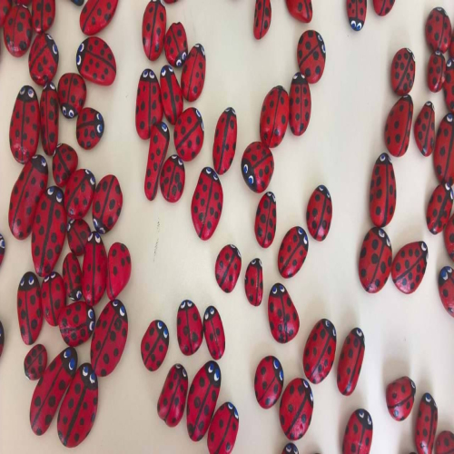 14572491_658406787660980_729709653_o