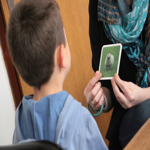 logoped-maglaj-2016-14