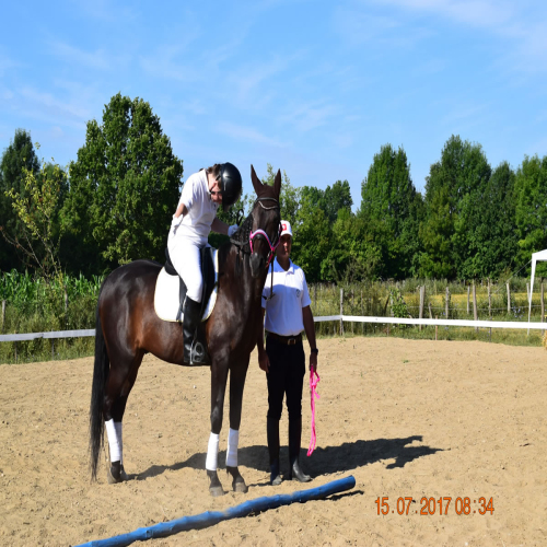 parakonjanistvo-srbac-01