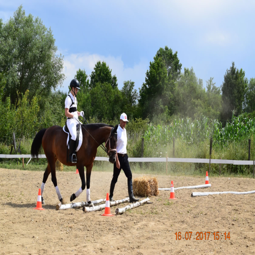 parakonjanistvo-srbac-03