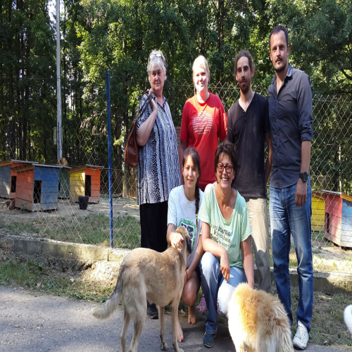 azil-preslica20160701_164004