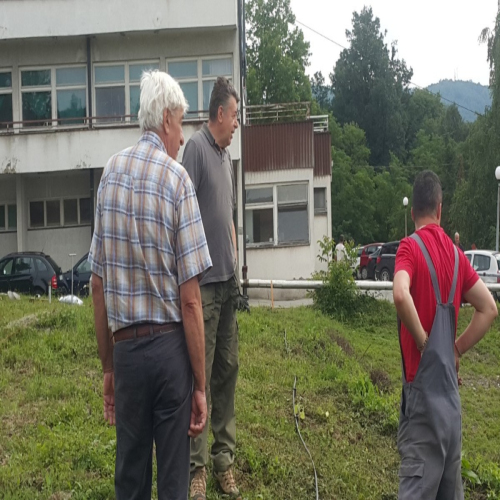 bolnica-sadnja-paulovnije-protiv-klizista-03
