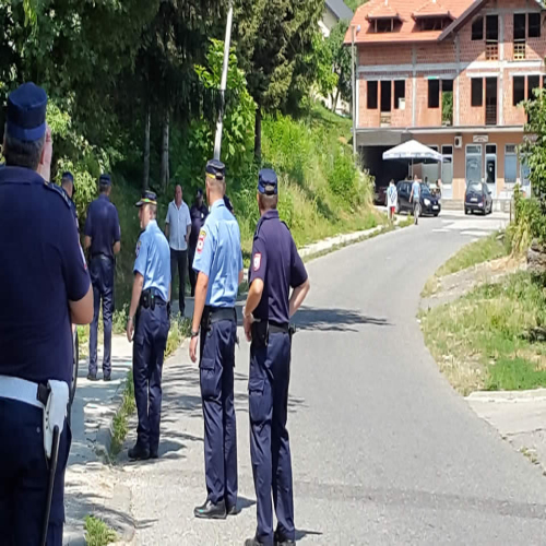 petrovdanska-bitka-pomen-2015-17