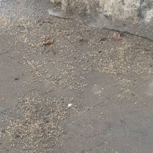 snijeg-niko-ne-odvozi-07