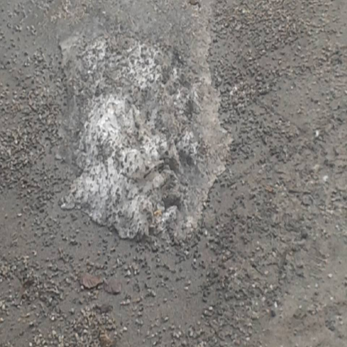 snijeg-niko-ne-odvozi-08