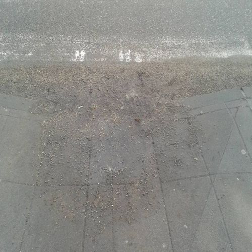 snijeg-niko-ne-odvozi-10