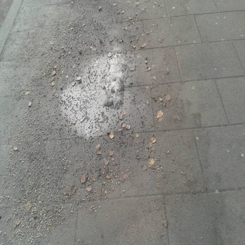 snijeg-niko-ne-odvozi-12