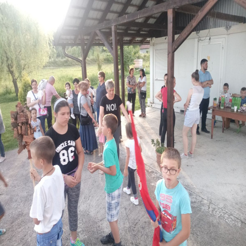 petrovdanske-lile-na-usori-01