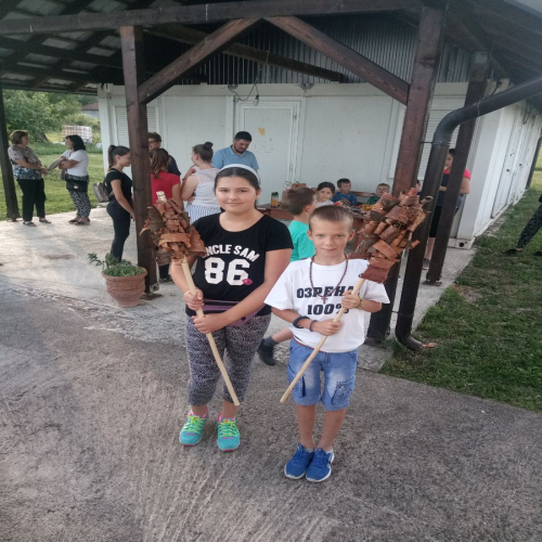 petrovdanske-lile-na-usori-03