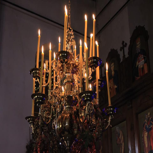 badnjak-osjecani-2019-02