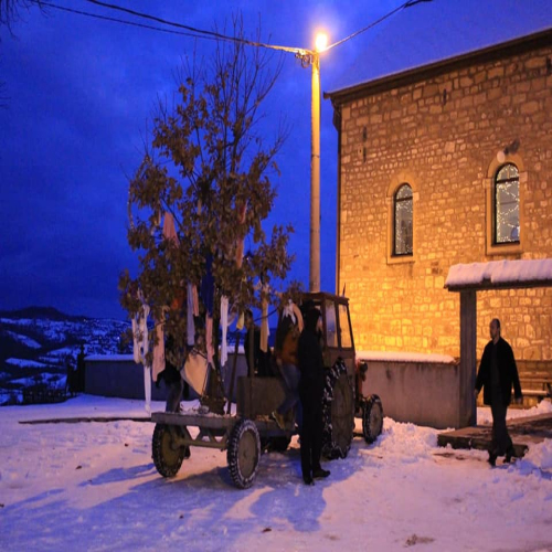 badnjak-osjecani-2019-04