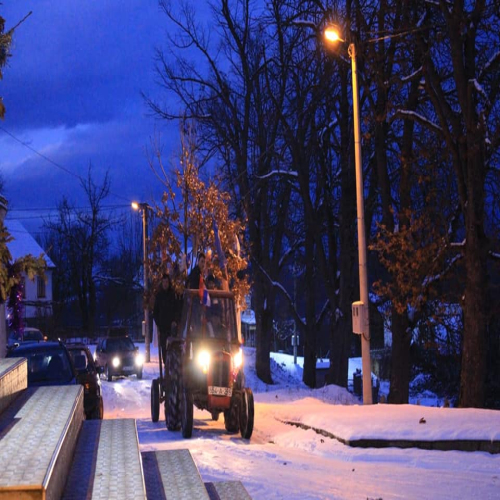 badnjak-osjecani-2019-19