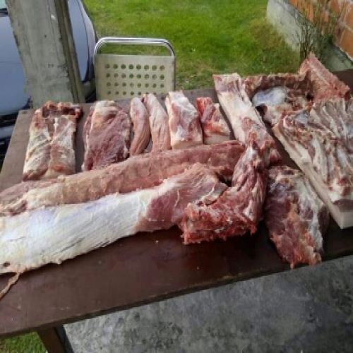 Svinjokolj-u-Osjecanima-03