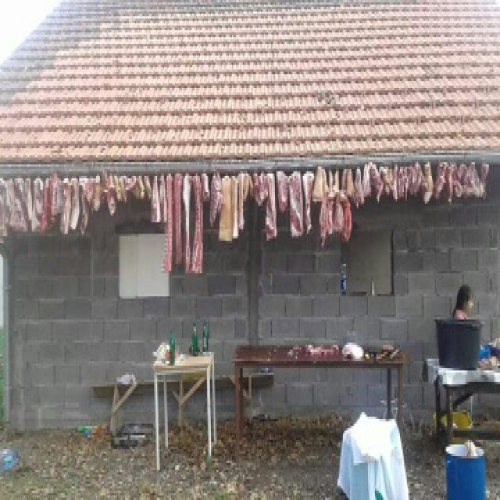 Svinjokolj-u-Osjecanima-04