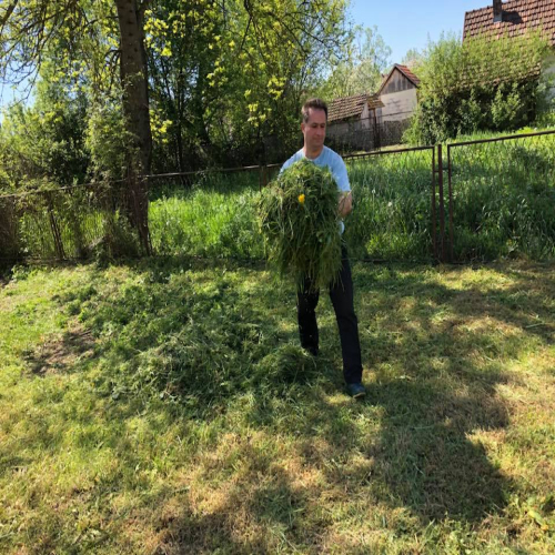 osjecani-obnova-doma-kulture-09