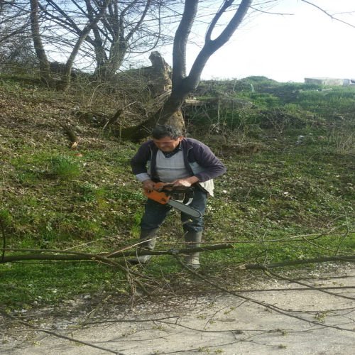 osjecani-proljecno-sredjivanje-03