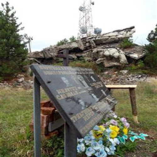 parastor-repetitor-kraljica-2015-01