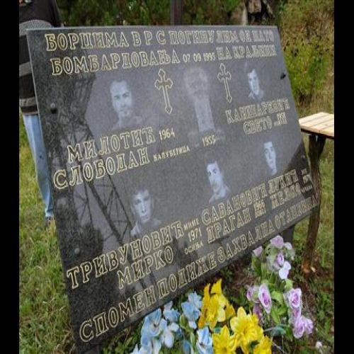 parastor-repetitor-kraljica-2015-02