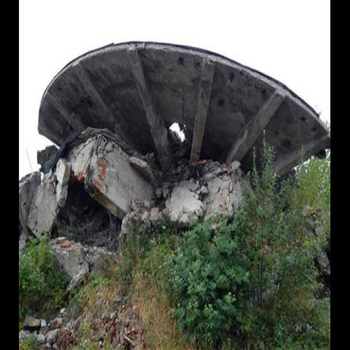 parastor-repetitor-kraljica-2015-03