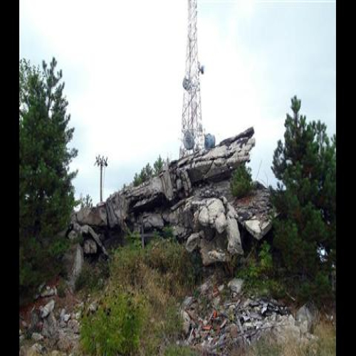 parastor-repetitor-kraljica-2015-04