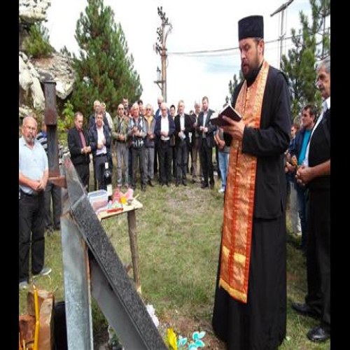 parastor-repetitor-kraljica-2015-05