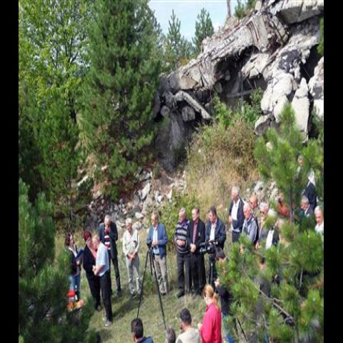 parastor-repetitor-kraljica-2015-07