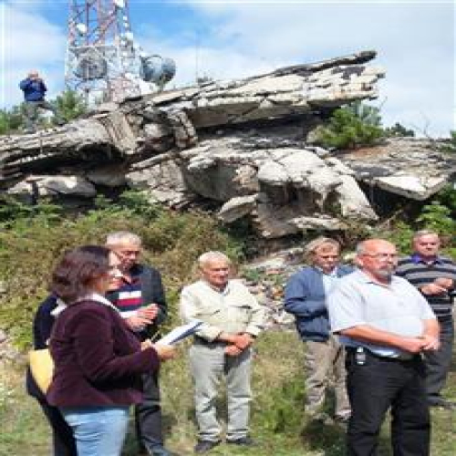 parastor-repetitor-kraljica-2015-09