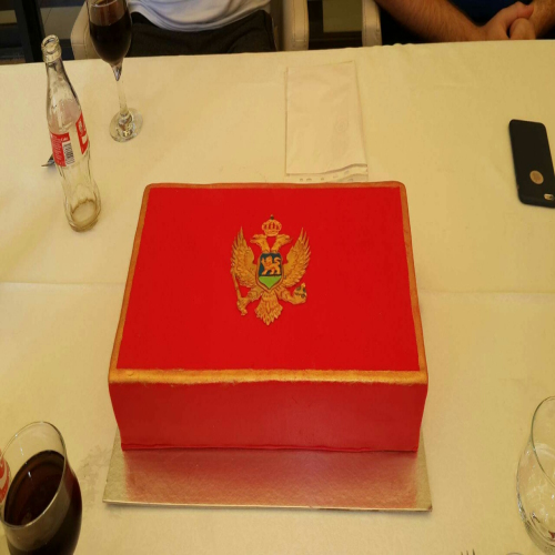 crnogorci-rukomet--03