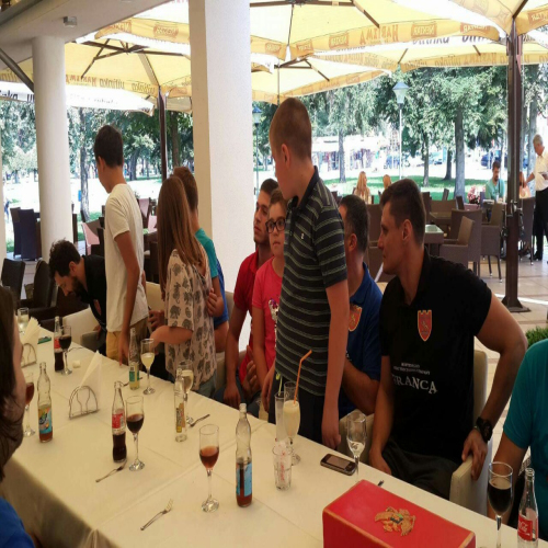 crnogorci-rukomet--12