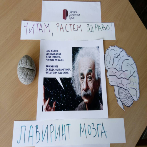 Biblioteka-Lavirint-03