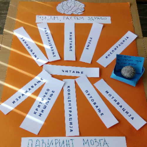 Biblioteka-Lavirint-07