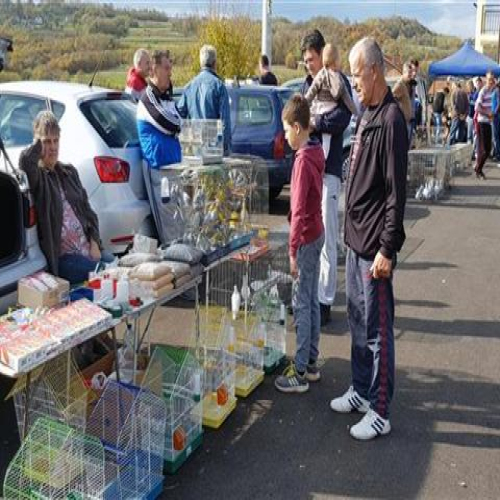 izlozba-golubova-doboj-2018-03