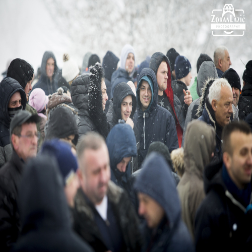 plivanje-za-casni-krst-okolsta-07