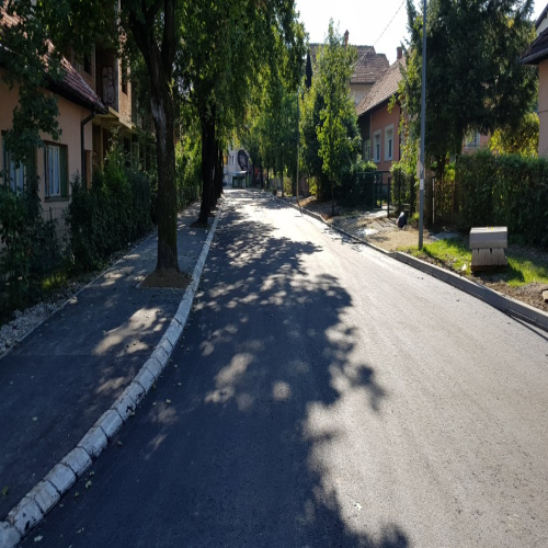 Rekonstrukcija-vidovdanska-2018-03