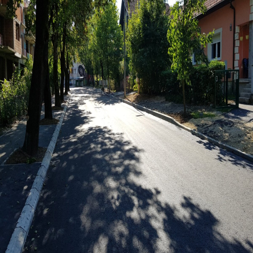 Rekonstrukcija-vidovdanska-2018-04