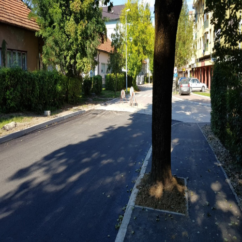 Rekonstrukcija-vidovdanska-2018-05