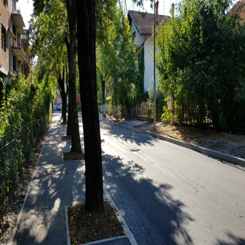 Rekonstrukcija-vidovdanska-2018-06