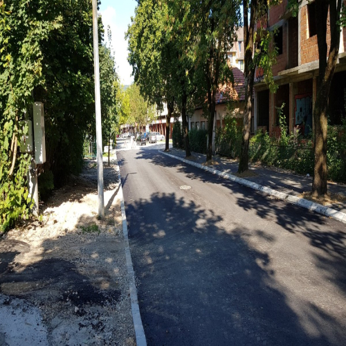 Rekonstrukcija-vidovdanska-2018-07