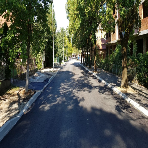 Rekonstrukcija-vidovdanska-2018-13