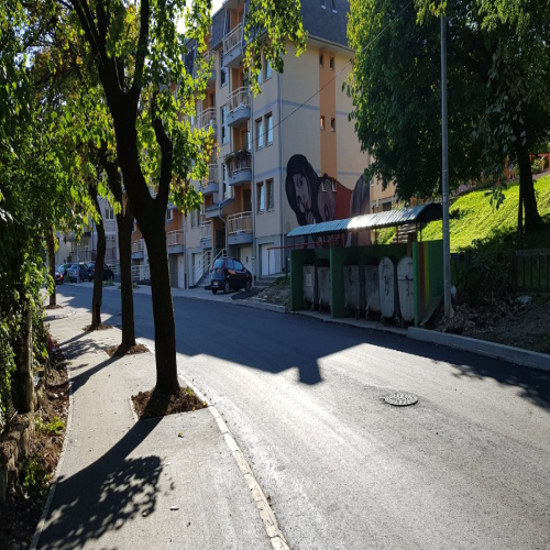 Rekonstrukcija-vidovdanska-2018-15