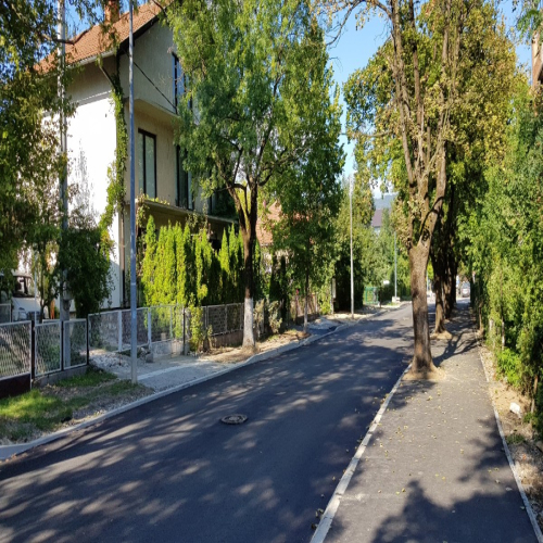 Rekonstrukcija-vidovdanska-2018-16