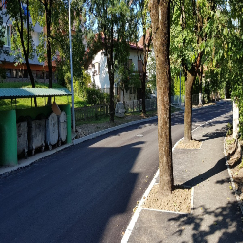 Rekonstrukcija-vidovdanska-2018-17