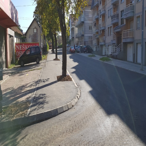 Rekonstrukcija-vidovdanska-2018-18