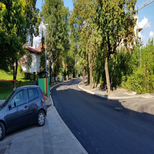 Rekonstrukcija-vidovdanska-2018-19