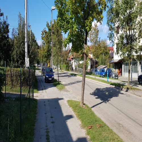 Rekonstrukcija-vidovdanska-2018-27