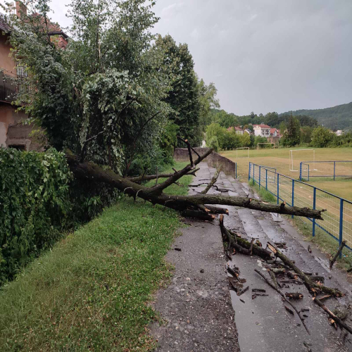 viber_image_2023-07-19_19-31-09-968