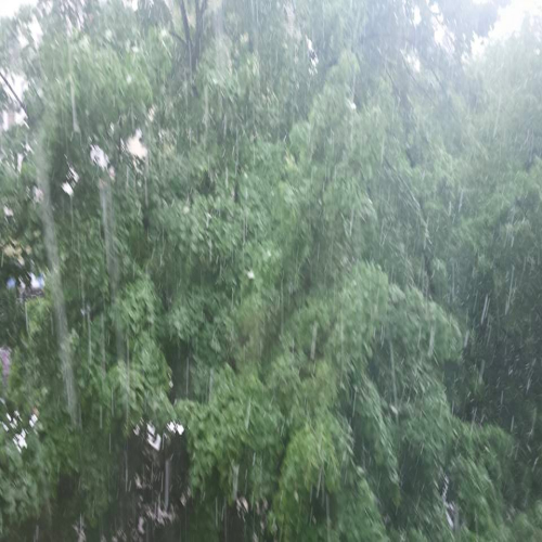 Snijeg-u-aprilu-u-Doboju-09