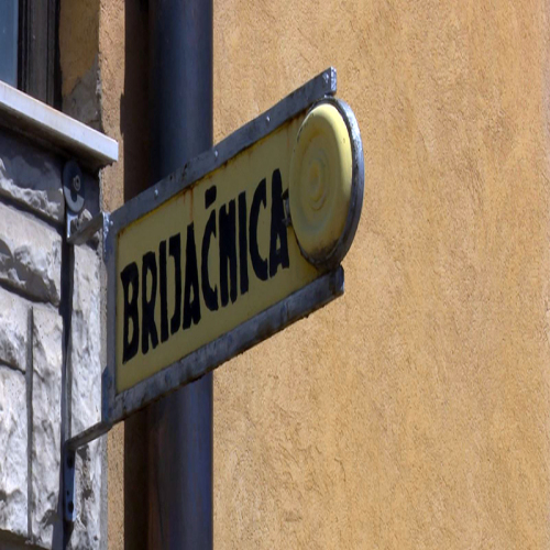 elvid-unkic-brico-03